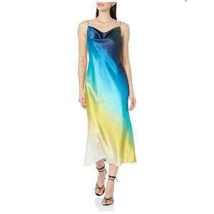 NWT The Drop Ombré Satin Slip Dress size Small 🌹🌺🌸